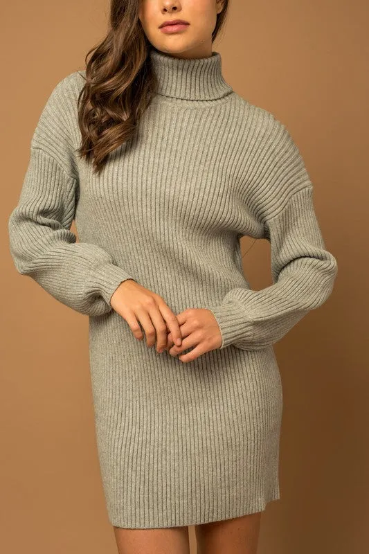 True To Oneself Turtleneck Long Sleeve Sweater Dress