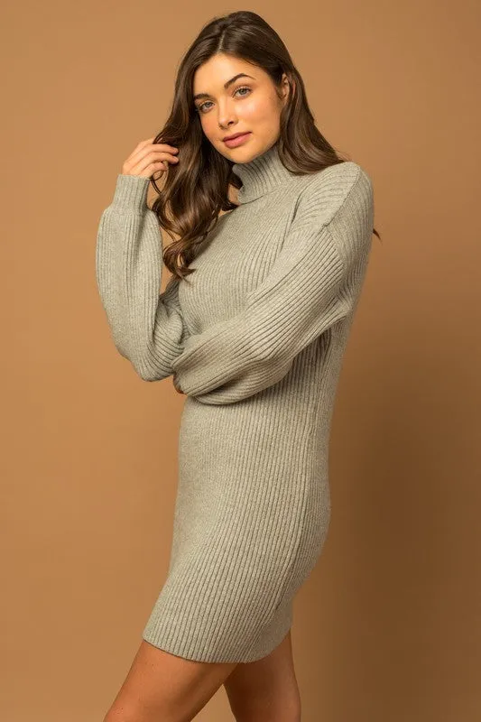 True To Oneself Turtleneck Long Sleeve Sweater Dress