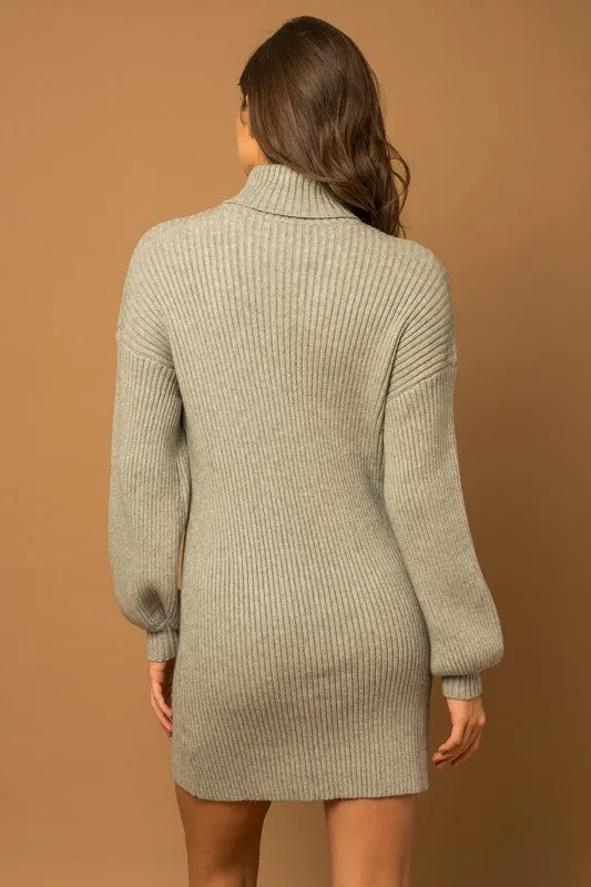 True To Oneself Turtleneck Long Sleeve Sweater Dress